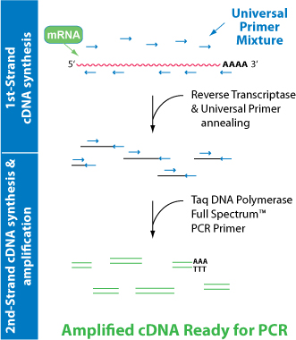 Graphic Gene Analysis